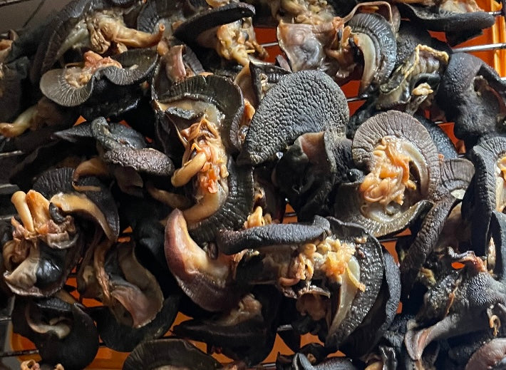 SMOKED AFRICAN SNAILS